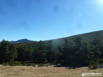 Torozo-Sierra de Gredos-Cinco Villas; 